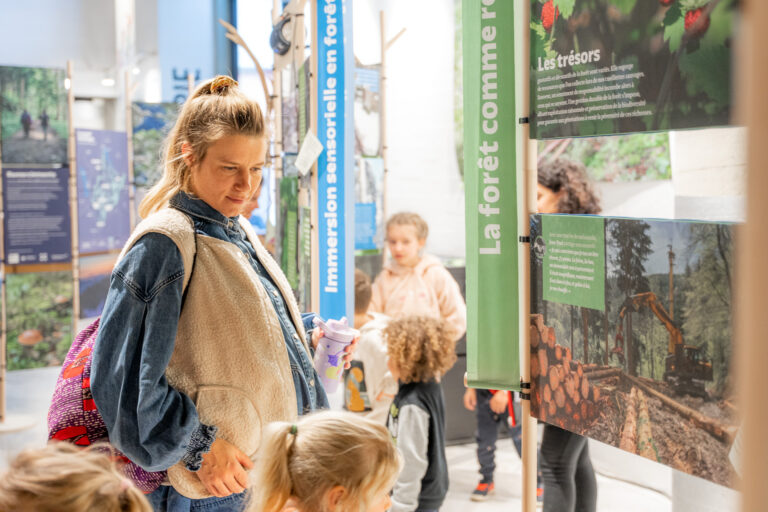 Exposition_entre_les_branches
