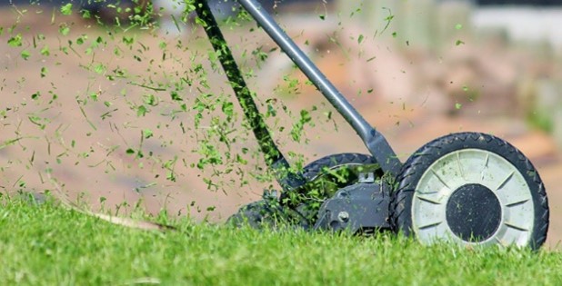 ccvt dv mulching