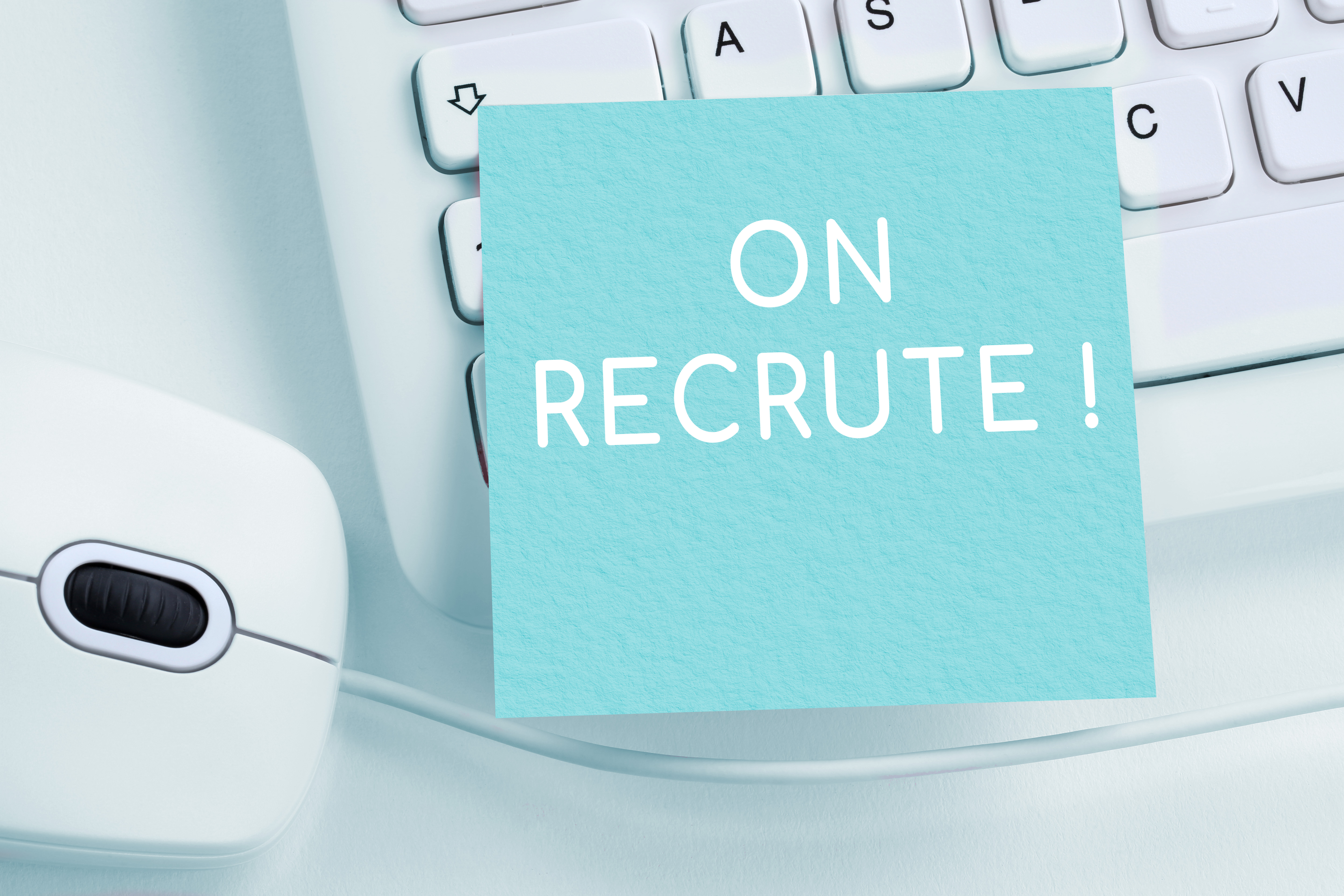 Les offres d'emploi