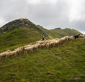 Plan Pastoral Territorial Fier-Aravis