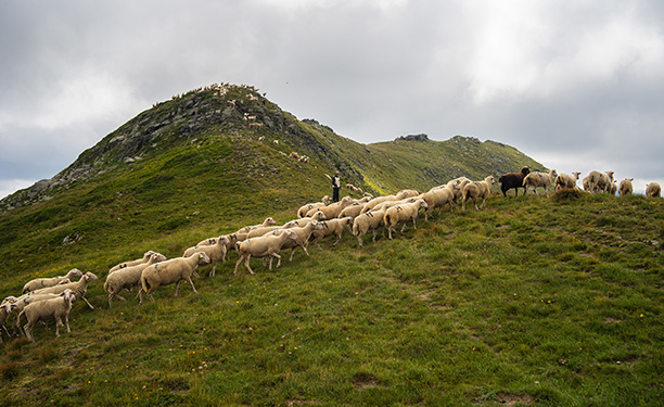 Plan Pastoral Territorial Fier-Aravis